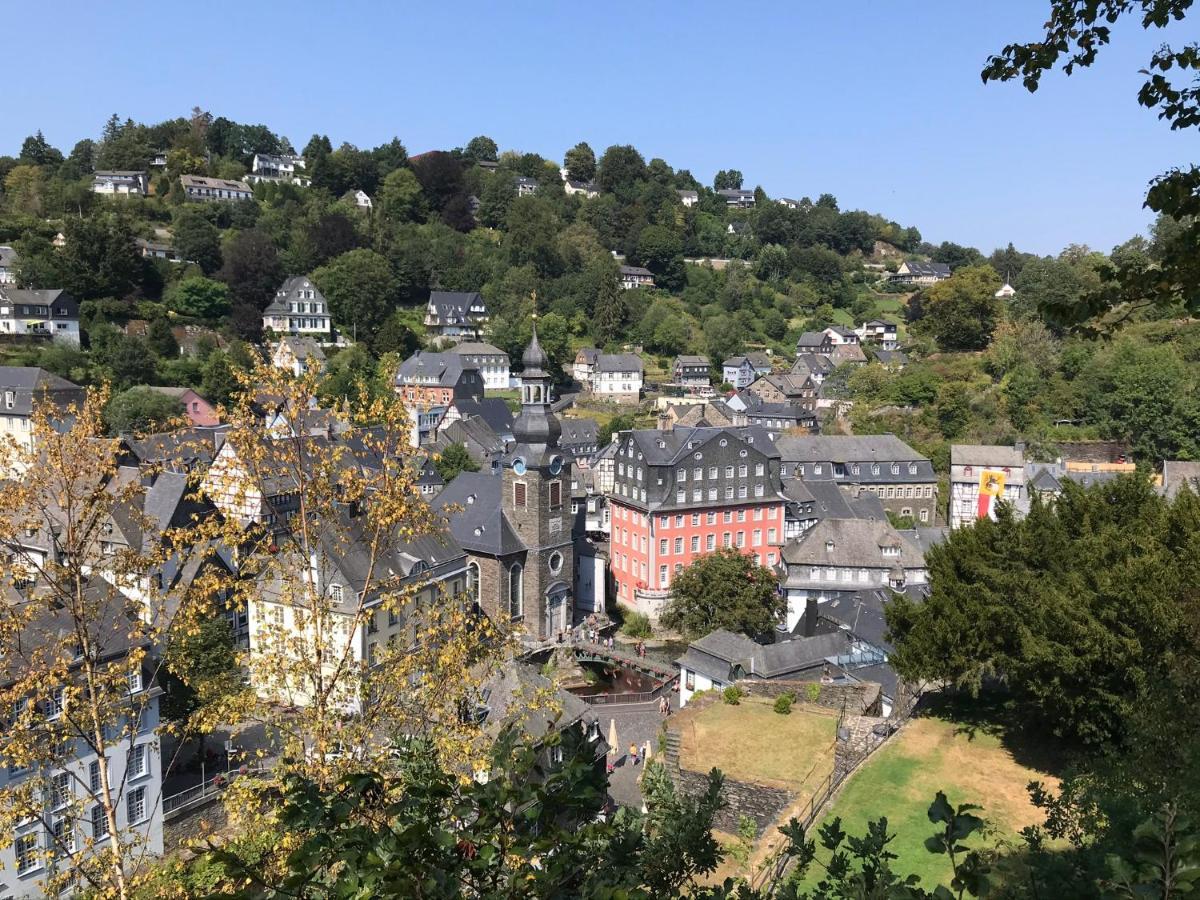 Villa Holgenbach - Penthouse- Und Ferienwohnung Im Nationalpark Eifel シュライデン エクステリア 写真