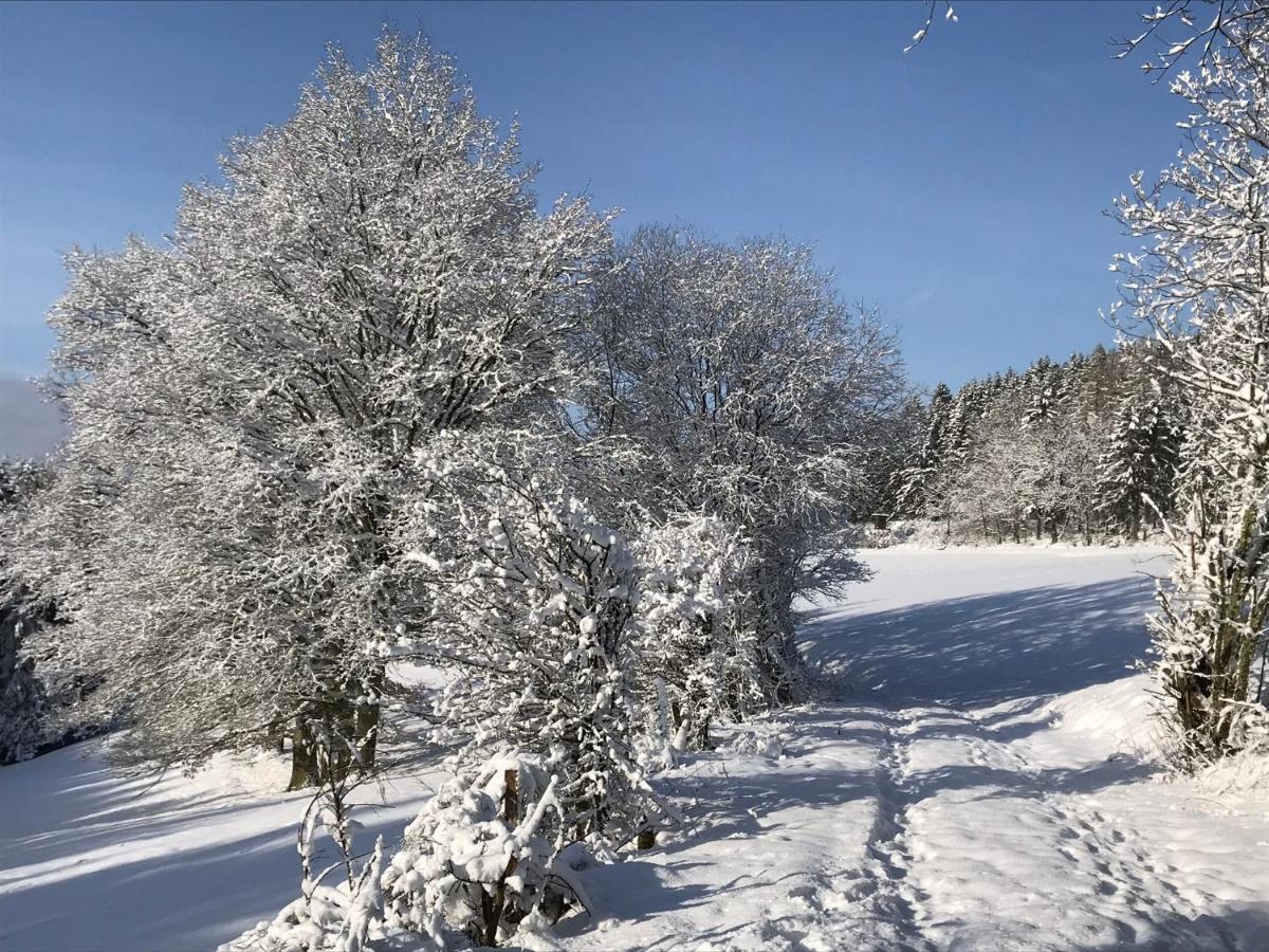 Villa Holgenbach - Penthouse- Und Ferienwohnung Im Nationalpark Eifel シュライデン エクステリア 写真