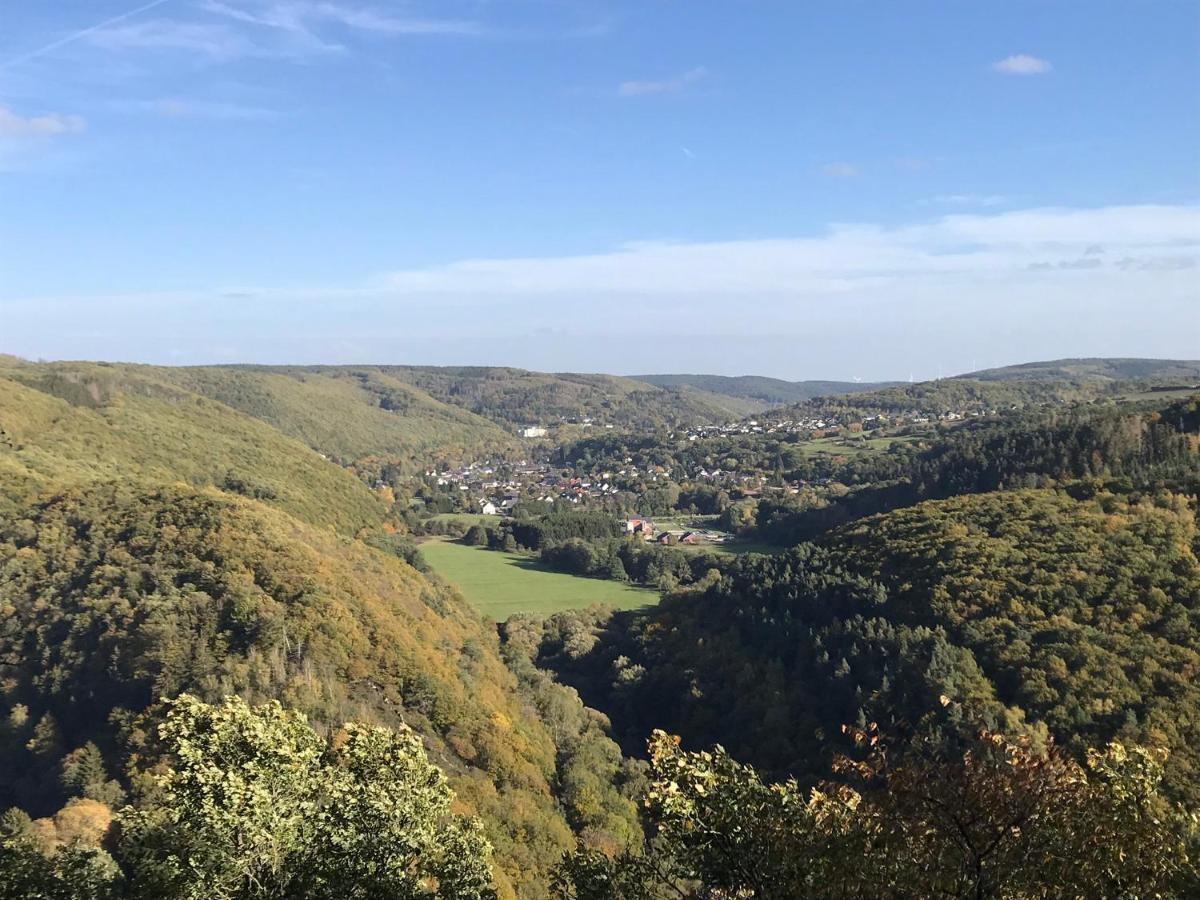 Villa Holgenbach - Penthouse- Und Ferienwohnung Im Nationalpark Eifel シュライデン エクステリア 写真