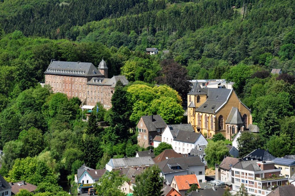 Villa Holgenbach - Penthouse- Und Ferienwohnung Im Nationalpark Eifel シュライデン エクステリア 写真