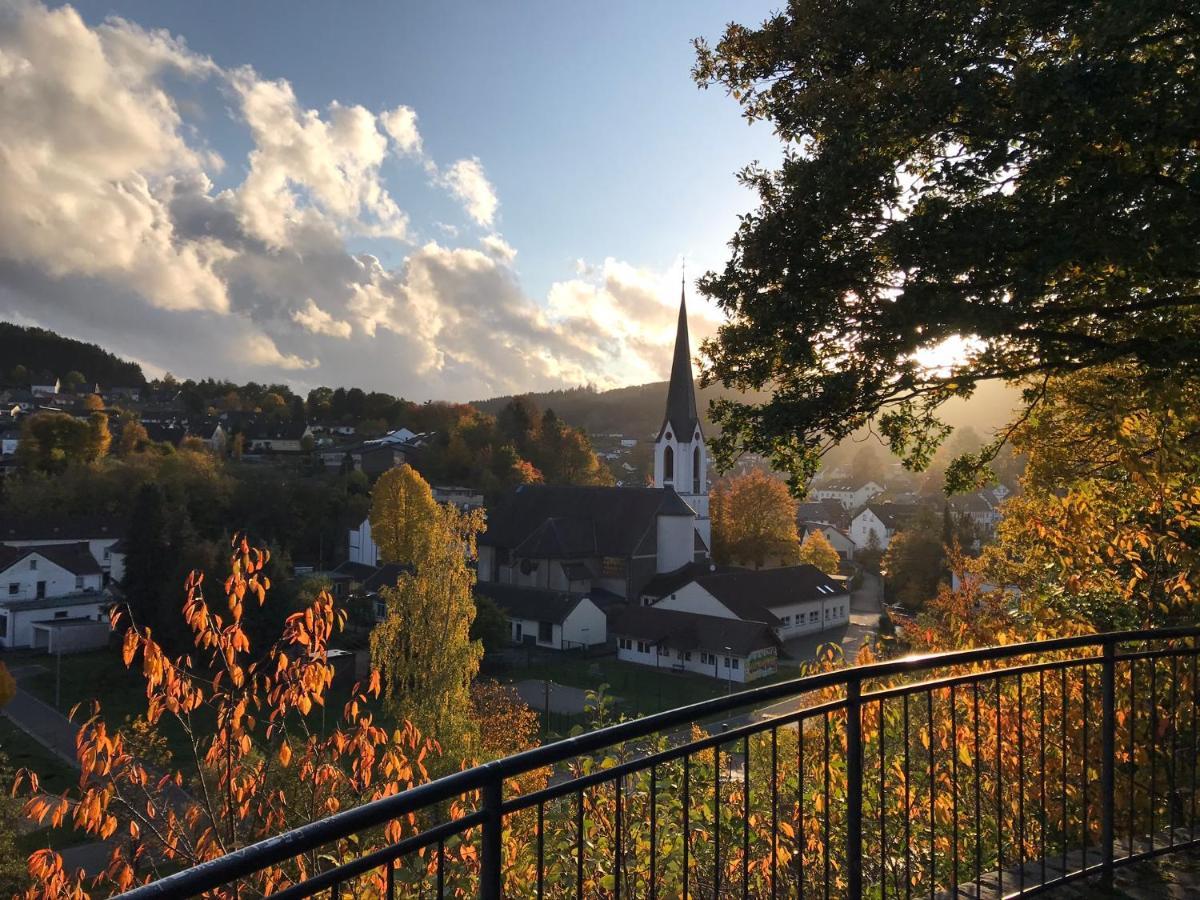 Villa Holgenbach - Penthouse- Und Ferienwohnung Im Nationalpark Eifel シュライデン エクステリア 写真
