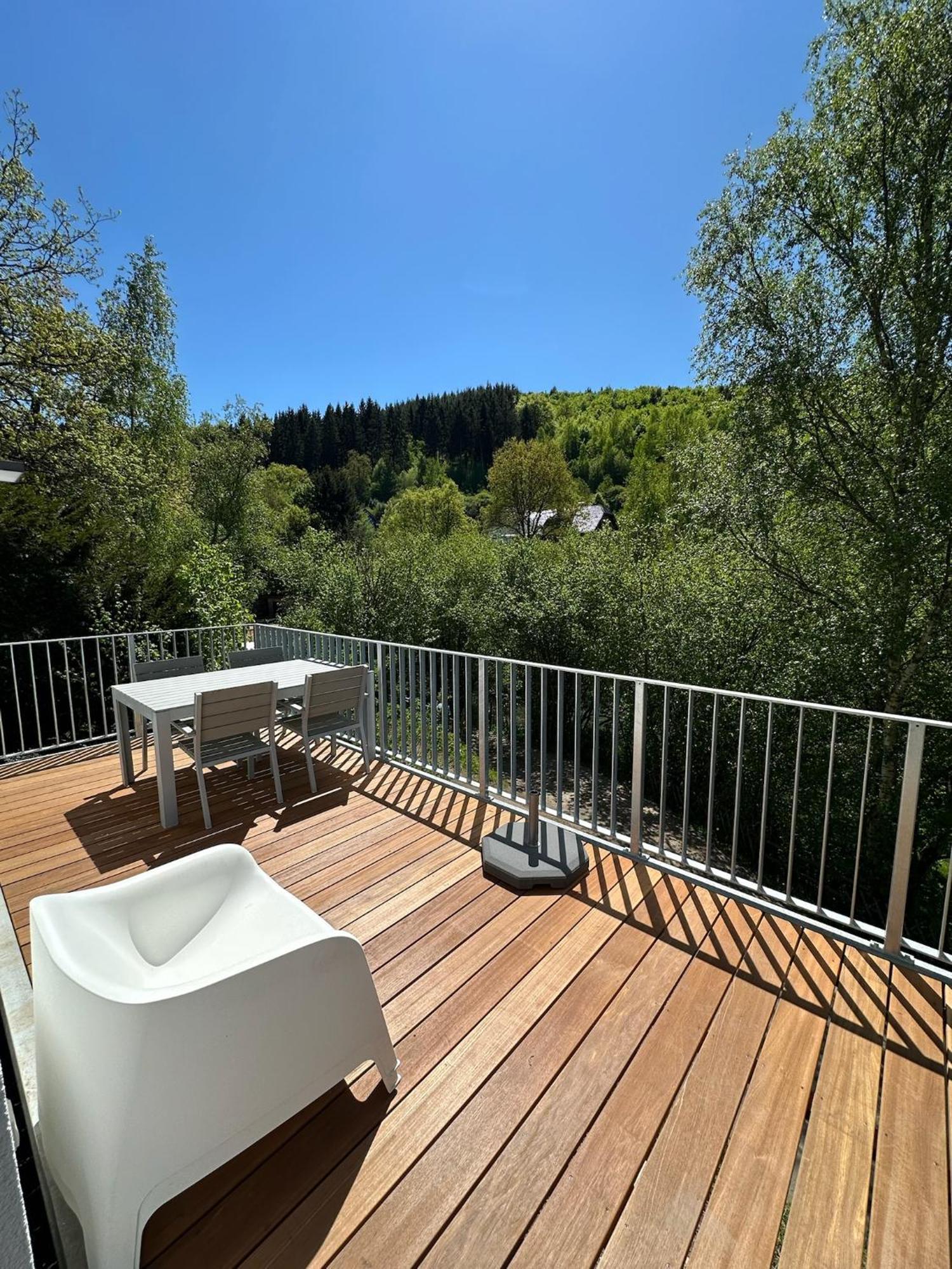Villa Holgenbach - Penthouse- Und Ferienwohnung Im Nationalpark Eifel シュライデン エクステリア 写真