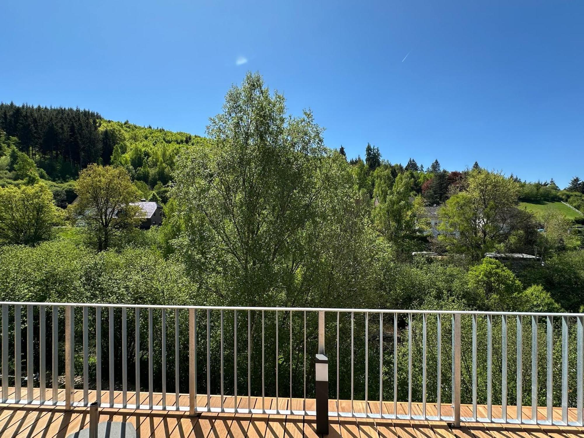 Villa Holgenbach - Penthouse- Und Ferienwohnung Im Nationalpark Eifel シュライデン エクステリア 写真
